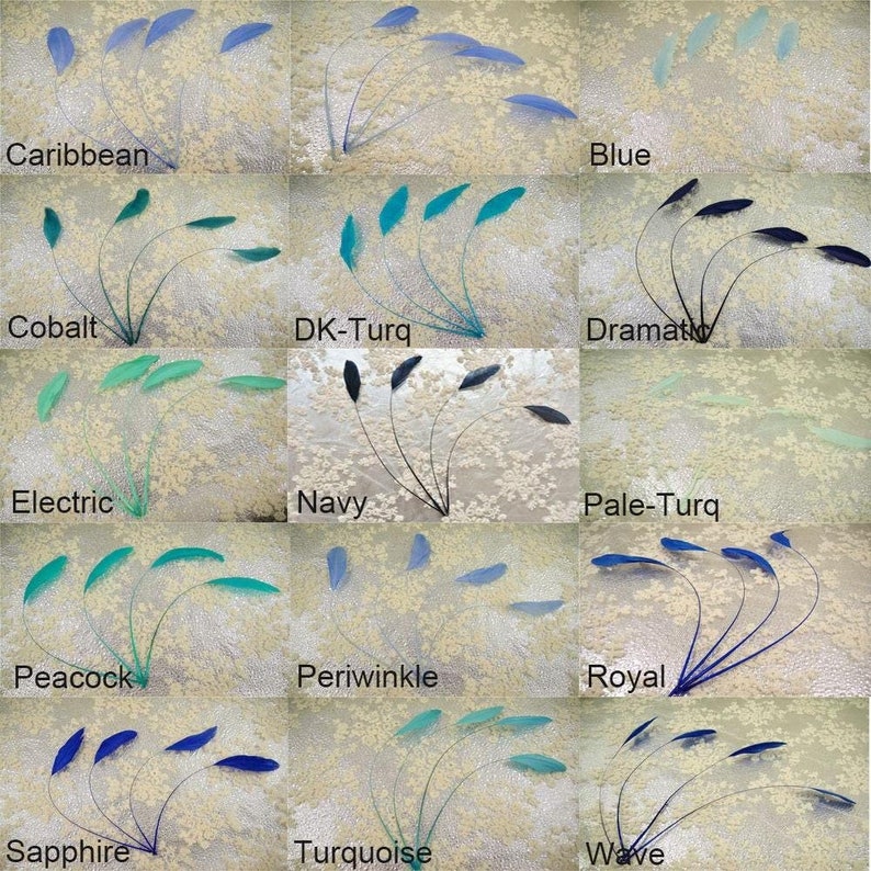 May include: A collection of 12 peacock feathers in various shades of blue and green, including Caribbean, Cobalt, Electric, Navy, Peacock, Periwinkle, Royal, Sapphire, Turquoise, and Wave. Each feather is displayed individually on a white background.