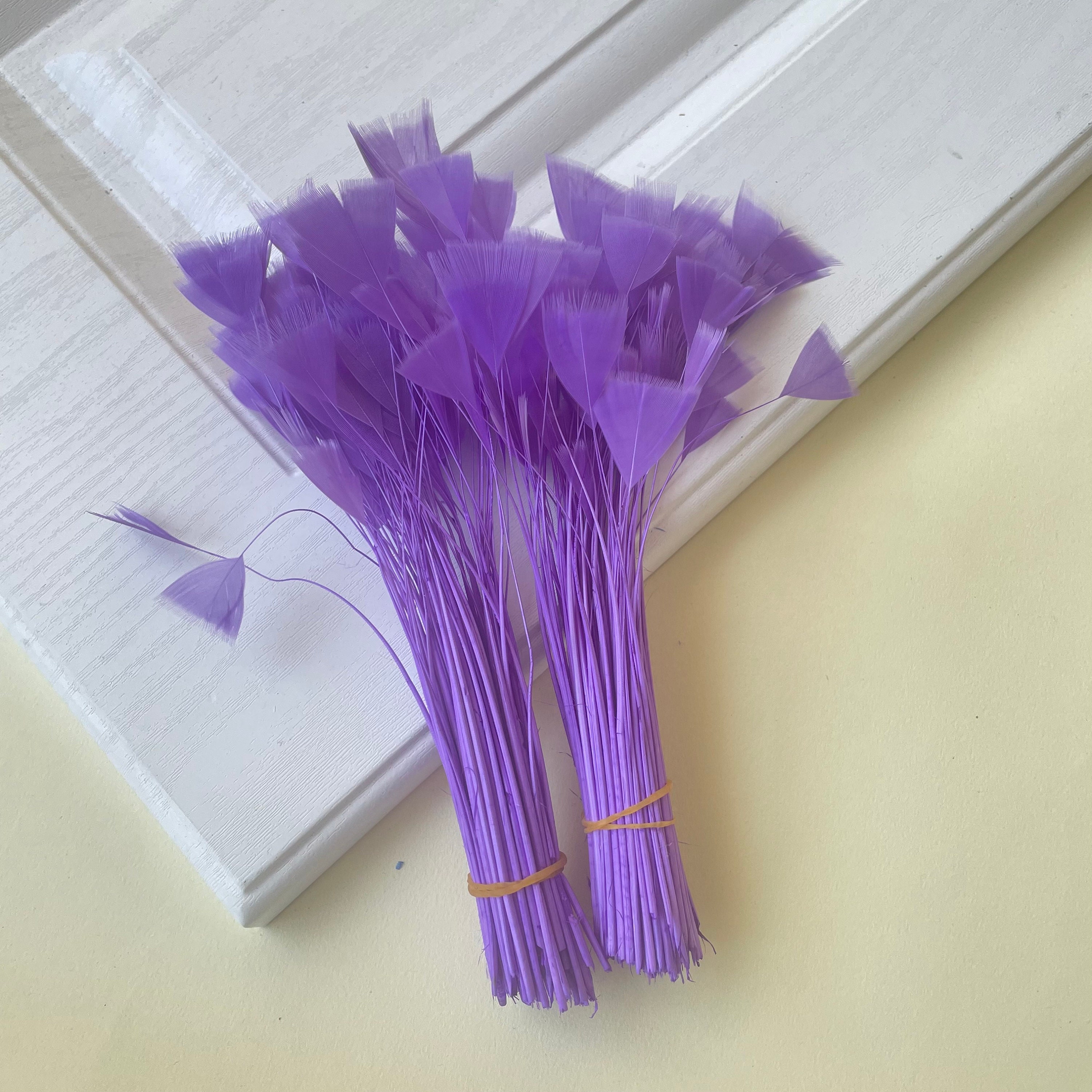 80 Colours Triangle Tipped Stripped Feathers for Millinery Hat Trimming ...