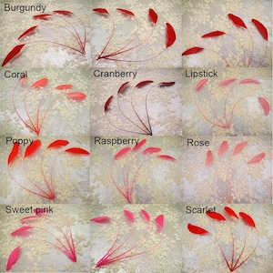 May include: A collection of ten feather boas in various shades of red and pink, including burgundy, coral, cranberry, lipstick, poppy, raspberry, rose, sweet pink, and scarlet.