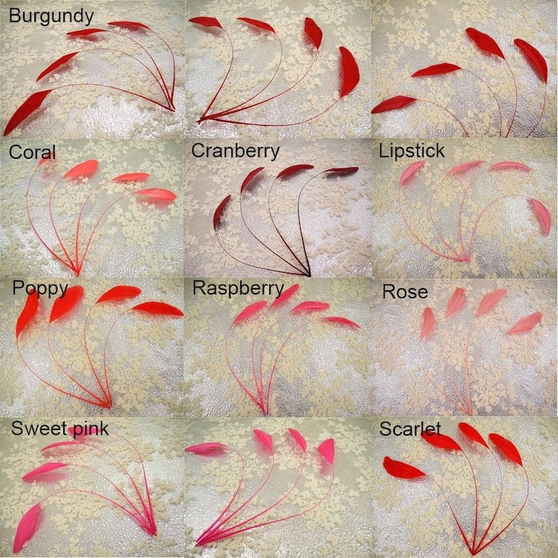 May include: A collection of ten feather boas in various shades of red and pink, including burgundy, coral, cranberry, lipstick, poppy, raspberry, rose, sweet pink, and scarlet.