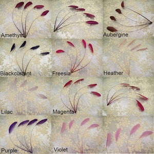 May include: Assortment of 10 feather boas in various shades of purple, pink, and red. The feathers are arranged in a fan shape and labeled with their corresponding color names: Amethyst, Blackcurrant, Freesia, Heather, Lilac, Magenta, Purple, Violet, and Aubergine.