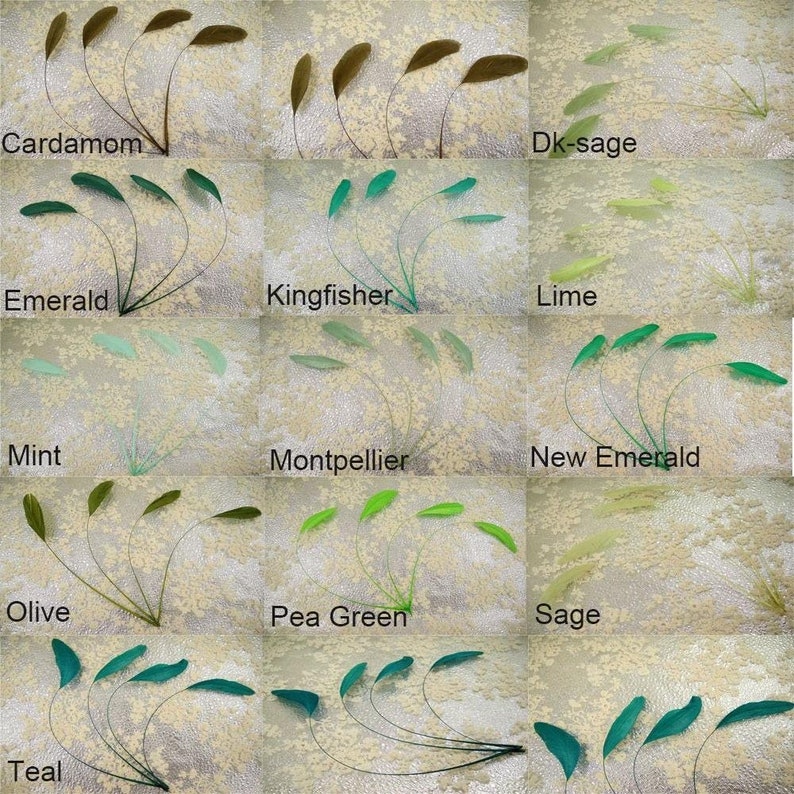 May include: Assortment of feathers in various shades of green, including cardamom, emerald, kingfisher, lime, mint, olive, pea green, sage, teal, and new emerald.  The feathers are arranged in rows, with each row labeled with the corresponding color name.