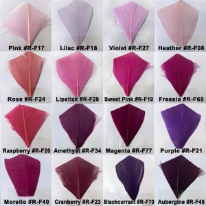 80 Colours 5-7 " Stripped Coque Feathers for Millinery Hat Trimming Fascinators Craft Decorating Lamp Shades Costume Trim image 5