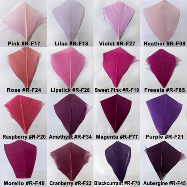 80 Colours 5-7 " Stripped Coque Feathers for Millinery Hat Trimming Fascinators Craft Decorating Lamp Shades Costume Trim image 5