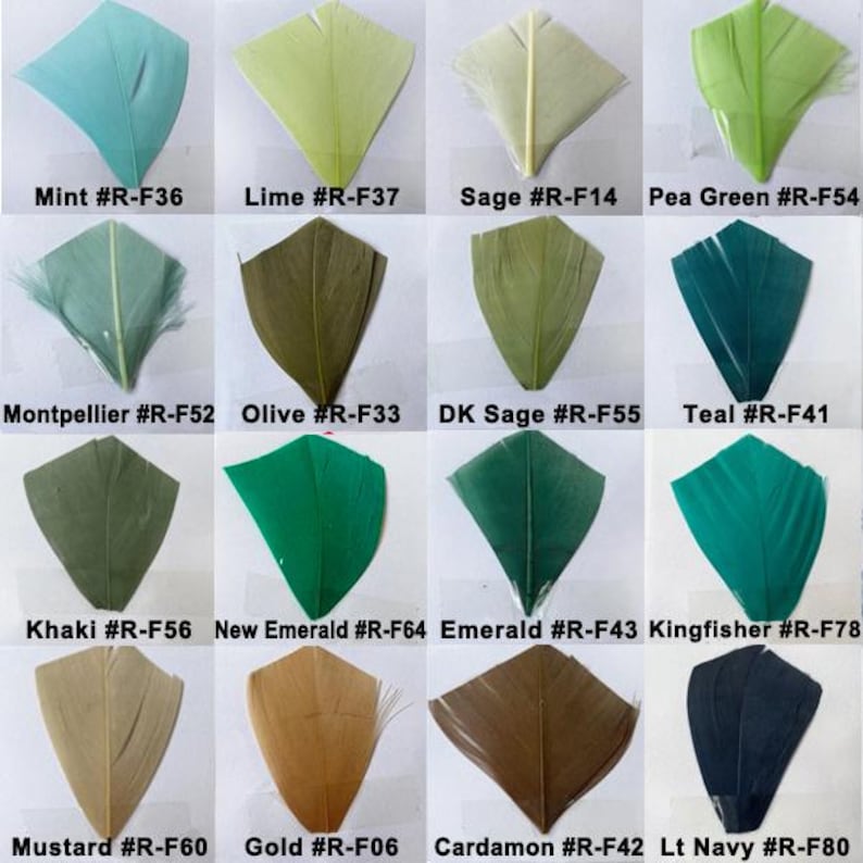80 Colours 5-7 " Stripped Coque Feathers for Millinery Hat Trimming Fascinators Craft Decorating Lamp Shades Costume Trim image 8