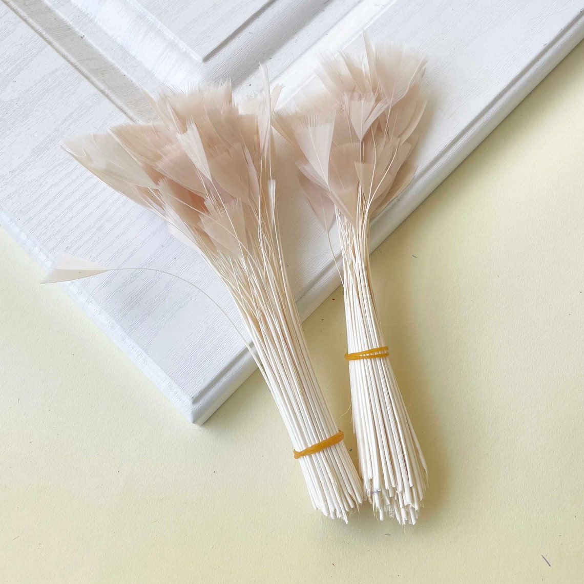 80 Colours Triangle Tipped Stripped Feathers for Millinery Hat Trimming ...