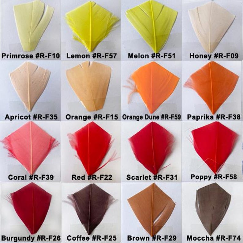 80 Colours 5-7 " Stripped Coque Feathers for Millinery Hat Trimming Fascinators Craft Decorating Lamp Shades Costume Trim image 7