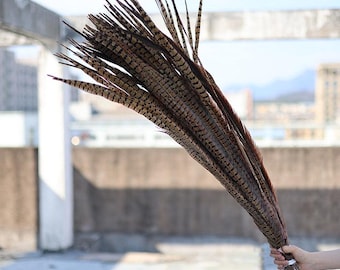 Natural Ringneck Pheasant Tail Feathers, Natural Feathers For Crafting and Art Supplies Craft Costume