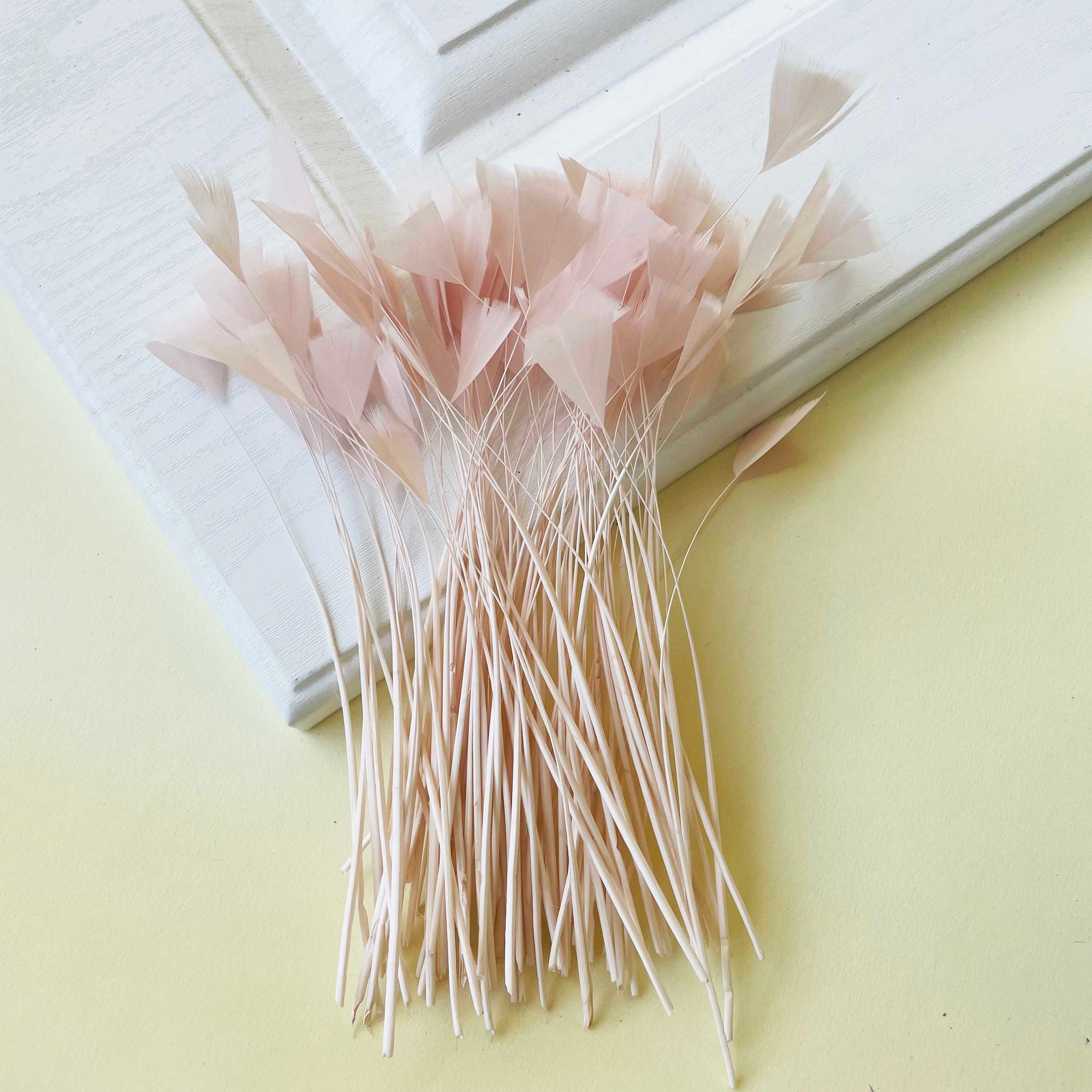 80 Colours Triangle Tipped Stripped Feathers for Millinery Hat Trimming ...