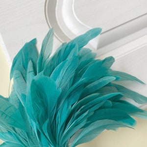May include: A bunch of teal blue feathers. The feathers are soft and fluffy, and they are arranged in a fan shape.
