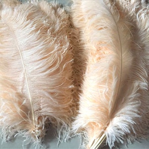 10 Pieces Champagne Ostrich Feathers For Home Wedding Party Decoration Centerpiece Millinery Crafts