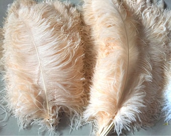 10 Pieces Champagne Ostrich Feathers For Home Wedding Party Decoration Centerpiece Millinery Crafts