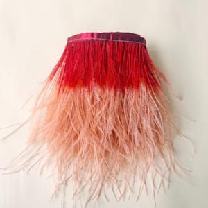 Peut inclure: Une garniture décorative composée d'une bande horizontale de plumes rouge vif passant progressivement à une teinte pêche pâle. Les plumes sont fixées sur un ruban étroit rouge foncé, créant un effet de frange texturé et superposé.