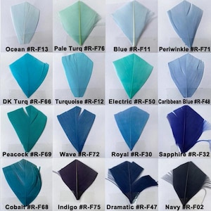 80 Colours 5-7 " Stripped Coque Feathers for Millinery Hat Trimming Fascinators Craft Decorating Lamp Shades Costume Trim image 6