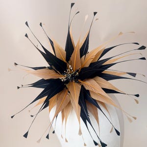 Peut inclure: Un accessoire de tête décoratif composé d'un arrangement en étoile de longues plumes pointues noires et fauves. Le centre est orné de petites perles sombres et de fins filaments de plumes qui s'étendent vers l'extérieur en éventail.