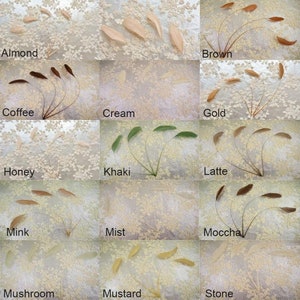 May include: A collection of 12 different colored feathers, each labeled with a color name. The colors include Almond, Coffee, Cream, Gold, Honey, Khaki, Latte, Mink, Mist, Mocha, Mushroom, Mustard, and Stone.