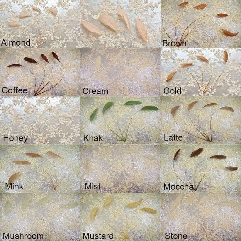 May include: A collection of 12 different colored feathers, each labeled with a color name. The colors include Almond, Coffee, Cream, Gold, Honey, Khaki, Latte, Mink, Mist, Mocha, Mushroom, Mustard, and Stone.