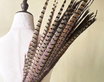 Natural Ringneck Pheasant Tail Feathers, Natural Feathers For Crafting and Art Supplies Craft Costume