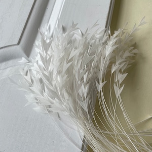 Könnte beinhalten: Ein Bund weißer Federn mit dreieckiger Form. Die Federn sind fächerförmig angeordnet und haben ein zartes, luftiges Aussehen.