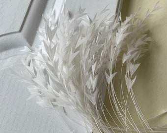 80 Colours Tipped  Stripped Coque Feathers for Millinery Hat Trimming Fascinators Craft Decorating Lamp Shades Costume Trim