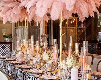 Dyed Natrual Large Ostrich Feathers For Home Wedding Party Decoration Dress-up Hat DIY Scrapbooking Crafting 18-19.6" / 45-50 cm length