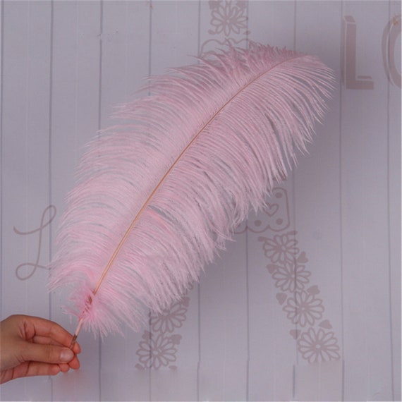 10 Plumas Grandes De Avestruz Rosa Intenso De 16 A 18 Pulgadas, Plumas Esponjosas Para Manualidades, Decoración De Fiesta En El Hogar, Centros De Mesa, Ropa, Jarrón, Decoración