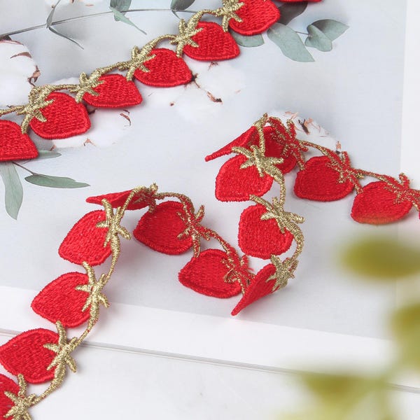 1 Yards Strawberry Embroidery Lace Trim, Strawberry  Embroidery Necklace Lace Trim Lace Edging Trimmings Ribbon DIY 0.78 Inches Wide