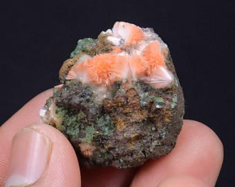 オレンジ色のトムソナイト標本、インド産天然ゼオライト鉱物 - Etsy 日本