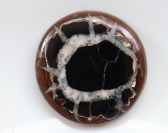 May include: A round, brown and black agate cabochon with a white and black pattern. The agate is polished and has a smooth surface.