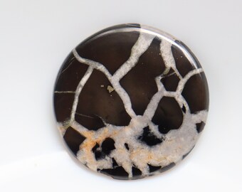 May include: A round, black and white agate cabochon with a dendritic pattern. The agate has a dark brown base with white and light brown dendritic patterns.