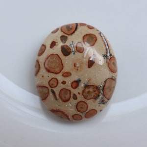 Natural Leopard skin jasper palm stone, gemstone jasper, healing stone, crystals, palm stone, crystal. pocket stone. leopard skin pattern.