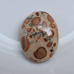 Natural Leopard skin jasper palm stone, gemstone jasper, healing stone, crystals, palm stone, crystal. pocket stone. leopard skin pattern.