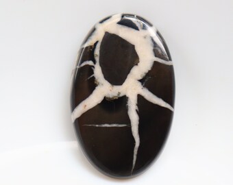 May include: An oval-shaped cabochon with a white dendritic pattern on a black background. The cabochon is polished and has a smooth surface.