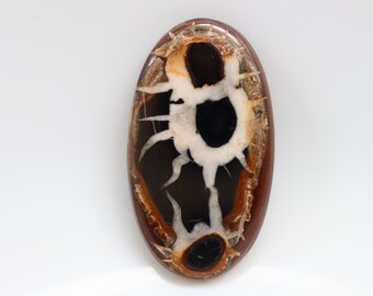 May include: An oval-shaped agate cabochon in brown and white with a black and white eye pattern. The agate has a natural, rough texture.