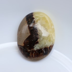 Natural Septarian  Palm stone , Crystal Mineral Specimen, Collector Mineral Specimen, palm stone for protection & Grounding, pocket stone.