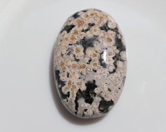 Increíble jaspe oceánico, piedra de palma, jaspe orbicular raro, jaspe orbicular pulido. Cristales naturales lisos, piedra curativa.