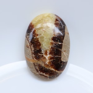 Natürlicher Septaria-Palmenstein, Kristallmineralprobe, Sammler-Mineralprobe, Handflächenstein für Schutz und Erdung, Taschenstein.