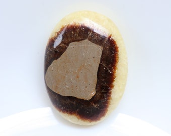 Natural Septarian  Palm stone , Crystal Mineral Specimen, Collector Mineral Specimen, palm stone for protection & Grounding, pocket stone.
