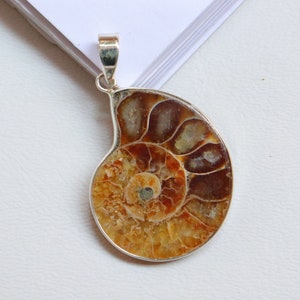Fossilized Ammonite Silver Pendant, 925 Sterling Silver Pendant, Natural Ammonite Fossil Sterling Silver Jewelry, Fossil Gift for herJewelry