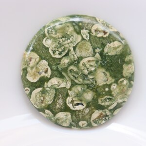 Cabochon de rhyolite de forêt tropicale, cristaux de jaspe de forêt tropicale de guérison, pierres de rhyolite de guérison, pierre de poche, pierre non fixée, pierre précieuse.