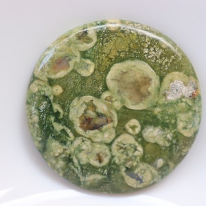 Cabochon de rhyolite de forêt tropicale, cristaux de jaspe de forêt tropicale de guérison, pierres de rhyolite de guérison, pierre de poche, pierre non fixée, pierre précieuse.