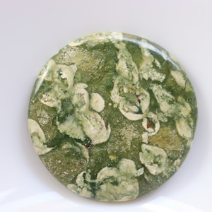 Cabochon de rhyolite de forêt tropicale, cristaux de jaspe de forêt tropicale de guérison, pierres de rhyolite de guérison, pierre de poche, pierre non fixée, pierre précieuse.