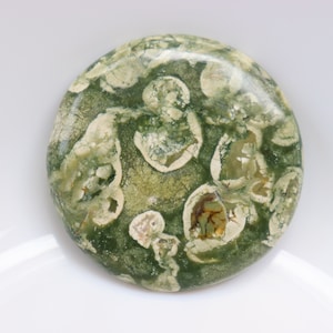 Cabochon de rhyolite de forêt tropicale, cristaux de jaspe de forêt tropicale de guérison, pierres de rhyolite de guérison, pierre de poche, pierre non fixée, pierre précieuse.