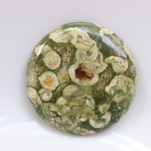 Cabochon de rhyolite de forêt tropicale, cristaux de jaspe de forêt tropicale de guérison, pierres de rhyolite de guérison, pierre de poche, pierre non fixée, pierre précieuse.