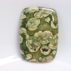 Cabochon de rhyolite de forêt tropicale, cristaux de jaspe de forêt tropicale de guérison, pierres de rhyolite de guérison, pierre de poche, pierre non fixée, pierre précieuse.