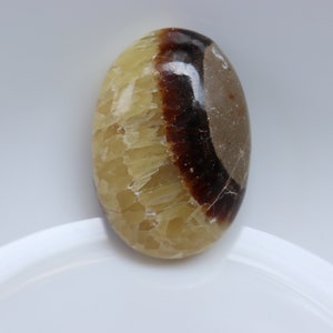 Natural Septarian  Palm stone , Crystal Mineral Specimen, Collector Mineral Specimen, palm stone for protection & Grounding, pocket stone.
