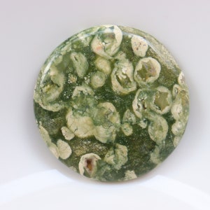 Cabochon de rhyolite de forêt tropicale, cristaux de jaspe de forêt tropicale de guérison, pierres de rhyolite de guérison, pierre de poche, pierre non fixée, pierre précieuse.