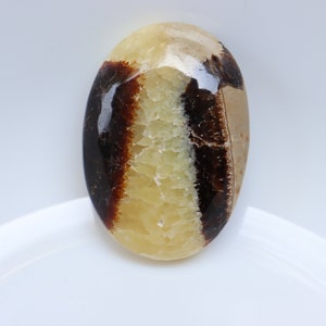 Natürlicher Septaria-Palmenstein, Kristallmineralprobe, Sammler-Mineralprobe, Handflächenstein für Schutz und Erdung, Taschenstein.