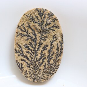 Cabochon di dendrite psilomelana di grandi dimensioni, dendrite di pietra preziosa psilomelana, cabochon fatti a mano, cristallo curativo in pietra sciolta, per gioielli, cristallo