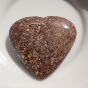 Natural Turritella Agate Fossil Heart stone, Real Dark Brown Black Fossil From Wyoming, healing stone, palm stone, healing Heart Stone